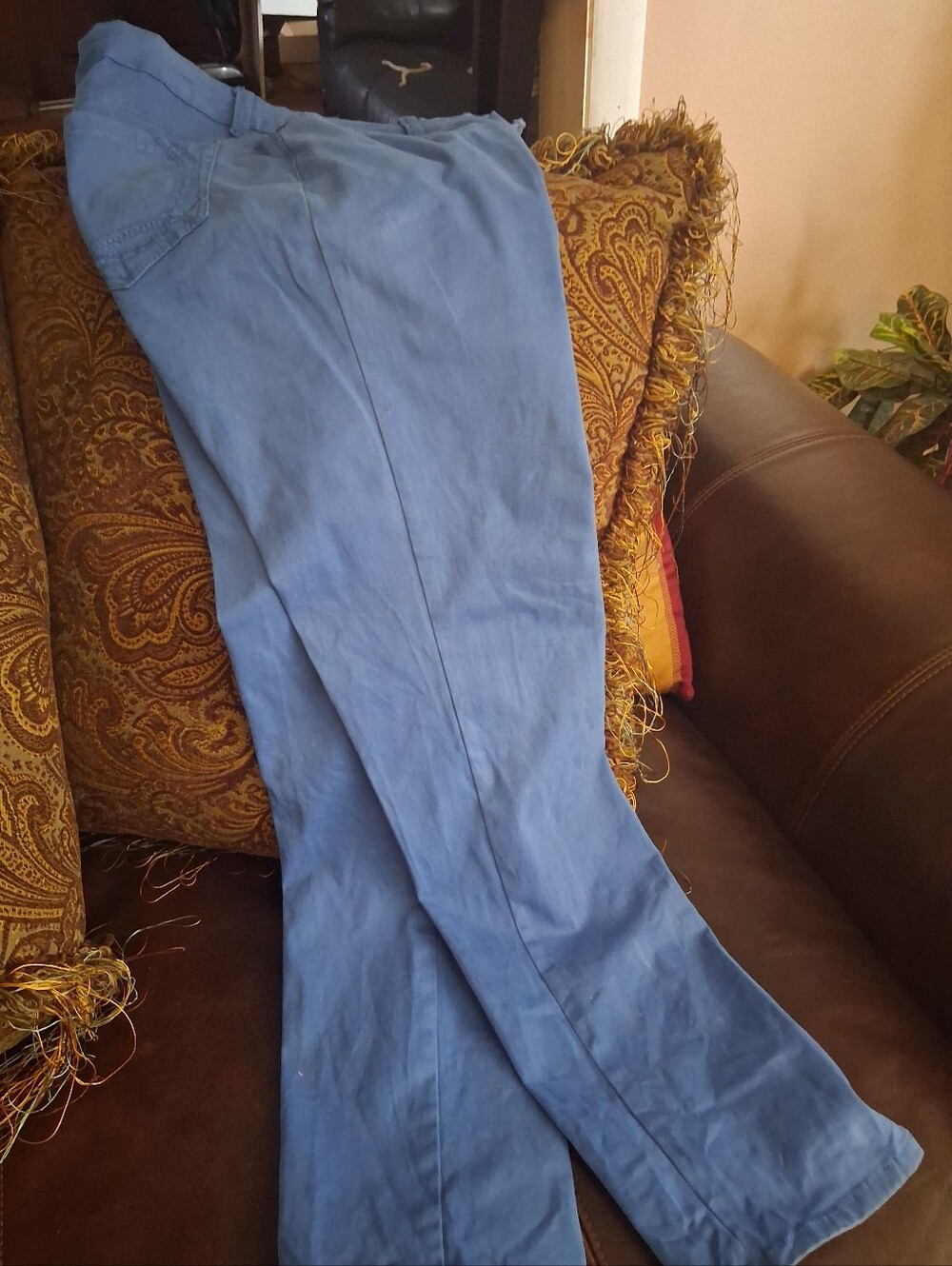 Women's Colored Blue Casual Jeans